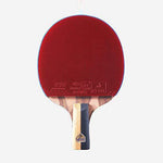 SSHHI Table Tennis Bat,Comfort Handle Offensive Ping Pong Paddle Set,Family Leisure Game Fashion/As Shown/B