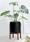 Mid Century Plant Stand - Up to 10'' Flower Pot, Wood Indoor Planter Holder, Modern Home Decor (Planter Not Included)