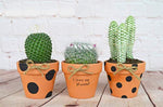 URBABA  16 Pcs Small Mini Clay Pots 2.5” x 3” Terra Cotta Pots Terracotta Cactus Flower Pots Ceramic Pottery Planters Succulent Nursery Pots for Indoor/ Outdoor Plants, Crafts, Wedding Favors