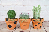 URBABA  16 Pcs Small Mini Clay Pots 2.5” x 3” Terra Cotta Pots Terracotta Cactus Flower Pots Ceramic Pottery Planters Succulent Nursery Pots for Indoor/ Outdoor Plants, Crafts, Wedding Favors
