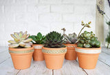 URBABA  16 Pcs Small Mini Clay Pots 2.5” x 3” Terra Cotta Pots Terracotta Cactus Flower Pots Ceramic Pottery Planters Succulent Nursery Pots for Indoor/ Outdoor Plants, Crafts, Wedding Favors