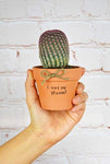 URBABA  16 Pcs Small Mini Clay Pots 2.5” x 3” Terra Cotta Pots Terracotta Cactus Flower Pots Ceramic Pottery Planters Succulent Nursery Pots for Indoor/ Outdoor Plants, Crafts, Wedding Favors