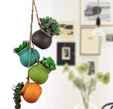 Hanging Succulent Planters | Multicolor Ceiling Wall Air Flower Pots for Plants | Indoor Outdoor