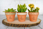 URBABA  16 Pcs Small Mini Clay Pots 2.5” x 3” Terra Cotta Pots Terracotta Cactus Flower Pots Ceramic Pottery Planters Succulent Nursery Pots for Indoor/ Outdoor Plants, Crafts, Wedding Favors