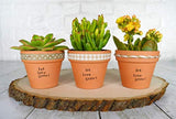 URBABA  16 Pcs Small Mini Clay Pots 2.5” x 3” Terra Cotta Pots Terracotta Cactus Flower Pots Ceramic Pottery Planters Succulent Nursery Pots for Indoor/ Outdoor Plants, Crafts, Wedding Favors