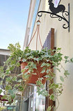 Worth Garden Decorative Outdoor Iron Wall-Mount Plant Hook for Flowers and Plants to add to Your Home - Garden or Patio