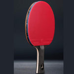 SSHHI 6 Star Table Tennis Bats,Ping Pong Paddle Professional,Comfortable Handle,Can Be Used for Indoor and Outdoor Game,Fashion/As Shown / 15.1×25.8CM