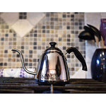 Steel Pour Over Gooseneck Kettle: Small Stainless Coffee and Tea Eco Friendly Stovetop Kitchen Kettles for Loose Leaf Teas or Coffees - Silver Metal No Rust Pot for Travel or Camping with Lid