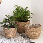 La Jolíe Muse Natural Seagrass Planter Basket (3-Pack), Plant Pot Cover, Indoor Plant Pots (10 Inch)