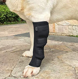 SEISSO Dog Brace for Canine Leg Wound Care, Band Healing Recovery, Sprains Helps with Loss of Stability Caused by Arthritis, Dog Rear Leg Braces