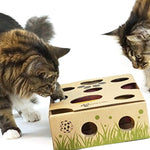 Cat Amazing – Best Cat Toy Ever! Interactive Treat Maze & Puzzle Feeder for Cats