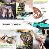 Updated 2019 Version Cat Nail Clippers and Trimmer - Professional Pet Nail Clippers and Claw Trimmer – Best Cat Claw Clippers for Bunny Rabbit Puppy Kitten Ferret Kitty and Small Animals - Sharp, Safe