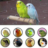 MwaBaiTx Natural Parrot Perch Set, Bird Chewing Toys Bird Perch Bird Stand Bird Cage Accessories