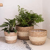 La Jolíe Muse Natural Seagrass Planter Basket (3-Pack), Plant Pot Cover, Indoor Plant Pots (10 Inch)