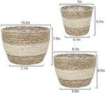 La Jolíe Muse Natural Seagrass Planter Basket (3-Pack), Plant Pot Cover, Indoor Plant Pots (10 Inch)