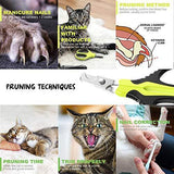 Updated 2019 Version Cat Nail Clippers and Trimmer - Professional Pet Nail Clippers and Claw Trimmer – Best Cat Claw Clippers for Bunny Rabbit Puppy Kitten Ferret Kitty and Small Animals - Sharp, Safe