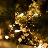 200 LED Indoor String Light with Remote and Timer on 69ft Clear String (8 Modes, Dimmable, Low Voltage Plug, Warm White)