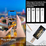 TDEBSSY USB 3.0 Flash Drive for iPhone iPad 256GB Photo Stick for iPhone 11 Pro XS X XR 8 7 6 Plus Password Touch ID Protected External Storage Drive for iPhone iPad PC Android Memory Stick 256 GB