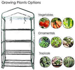 Worth 5 Tier Mini Greenhouse with Clear Polyethylene Cover, 27" Long x 19" Wide x 75" High Garden Green House