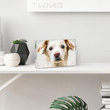 TWING Premium Acrylic Photo Frame - 5x7 inches Magnet Photo Frame -Double Sied Thick Desktop Frames (5 Pack)