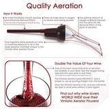 TenTen Labs  Wine Aerator Pourer - Premium Aerating Pourer and Decanter Spout (Black)