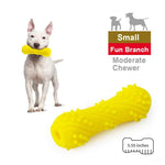 EETOYS Puppy Teething Toys Dog Chew Toys for Aggressive Chewers Made W/Non-Toxic TPE (Small,Whistle Bone) by EETOYS MARKET LEADER PET LOVER