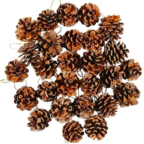 Coobey 27 Pieces Mini Pine Cones Christmas PineCones Natural Hanging Ornament 3-4cm Pine Cones Pendant With String for Christmas Gift Tag Decoration