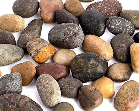 Supply Guru SG2584 River Rocks, Pebbles, Outdoor Decorative Stones, Natural Gravel, For Aquariums, Landscaping, Vase Fillers, Succulent, Tillandsia, Cactus pot, Terrarium Plants, 2 LB. Large Size.