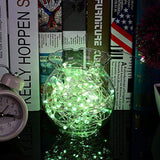 LED Fairy Lights 33ft 100 LEDs Battery Operated String Lights Waterproof Multi Color Changing, Firefly Lights with Remote Control for Indoor,Outdoor,Bedroom,Patio,Wedding,Party