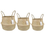 Natural Seagrass Belly Basket with Handles Seagrass Planter for Fig Indoor Plants