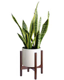 Mid Century Plant Stand - Up to 10'' Flower Pot, Wood Indoor Planter Holder, Modern Home Decor (Planter Not Included)