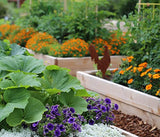 ECOgardener Premium 5oz Pro Garden Weed Barrier Landscape Fabric Durable & Heavy-Duty Weed Block Gardening Mat, Easy Setup & Superior Weed Control, Eco-Friendly & Convenient Design, 3ft x 50ft