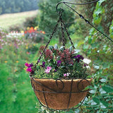 Metal Hanging Planter Basket with Coco Coir Liner 12 Inch Round Wire Plant Holder with Chain Porch Decor Flower Pots Hanger Garden Decoration Indoor Outdoor Watering Hanging Baskets by AMAGABELI GARDEN & HOME