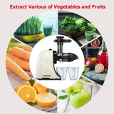 Masticating Juicer Machines, Hethtec Slow Cold Press Juicer Quiet Motor, Reverse Function, High Yield Juice Extractor with Brush for Fruits and Vegetables, Easy to Clean, BPA-Free