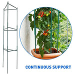 EasyGO Products EGP-GARD-020 Cages – Stakes-Vegetable Trellis-3 Pack Tomato Plant