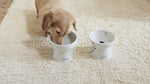 Necoichi Raised Dog Food Bowl, Stress Free, Dishwasher and Microwave Safe, Lead & Cadmium Free, Made to FDA/EC&ECC European Standard