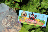 150 Live Ladybugs - Good Bugs - Ladybugs - Guaranteed Live Delivery!